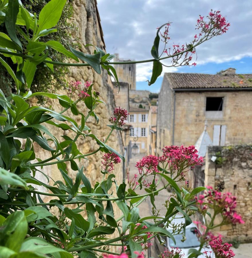 فيلا La Petite Fontaine Saint-Émilion المظهر الخارجي الصورة